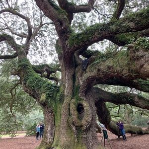 Meet your Posher, Annette
